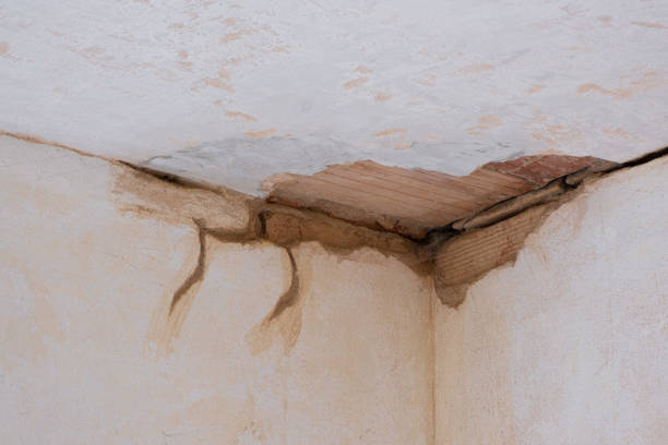 Best Water damage restoration company  in Richlands, VA
