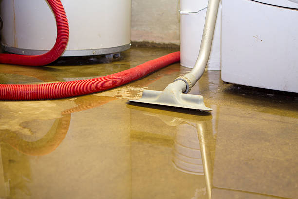Best Residential water damage restoration  in Richlands, VA