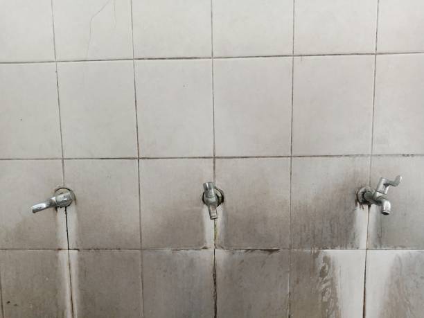 Best Water damage mitigation services  in Richlands, VA