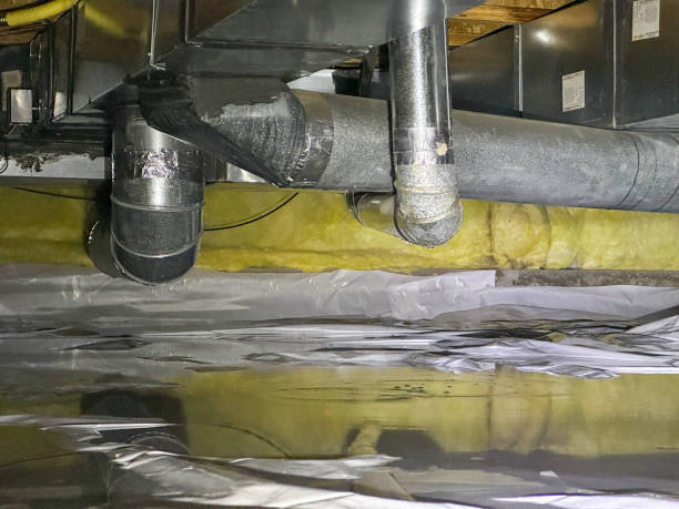 Best Basement water damage restoration  in Richlands, VA