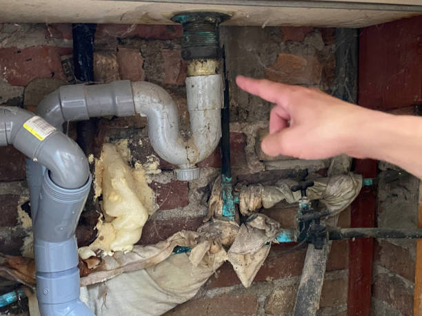 Best Water damage cleanup near me  in Richlands, VA